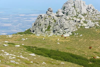 Bocca_d'Oru mit Blick auf Etang bei Aleria